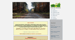 Desktop Screenshot of lgd-rzl.pl